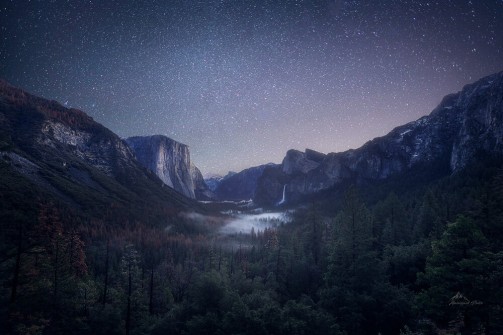 A Night Under the Stars