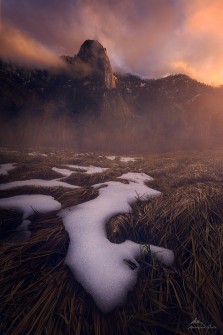 Standing Tall