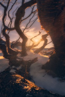Twisted