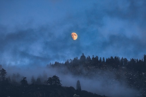 Misty Moon