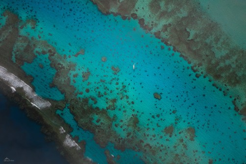 Red Sea Paradise