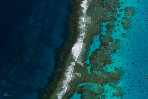 Coral Beach