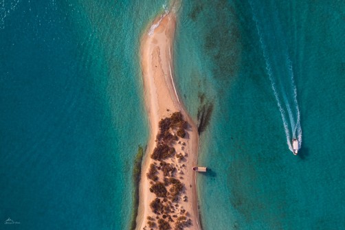Along the Shore