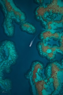 Between the Coral Reefs