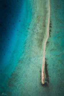 Tail of the Island