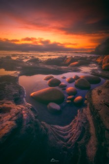 Golden Pacific