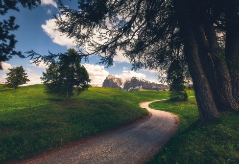 Alpe Di Siusi